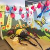 毎年人気の夏休みイベント！東京スカイツリータウン『大昆虫展』が開催