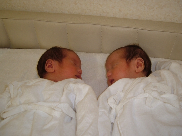 生まれたばかりの双子の赤ちゃん